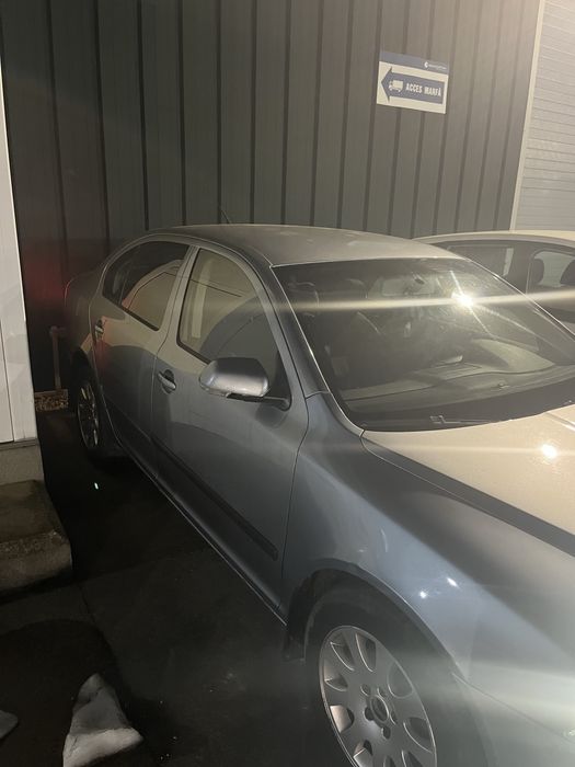 Vand Skoda octavia 2 1.9 BJB