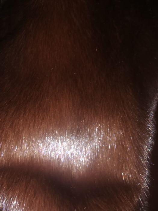 Норковая шуба в хорошем состоянии, смотрится богато, с капюшоном.