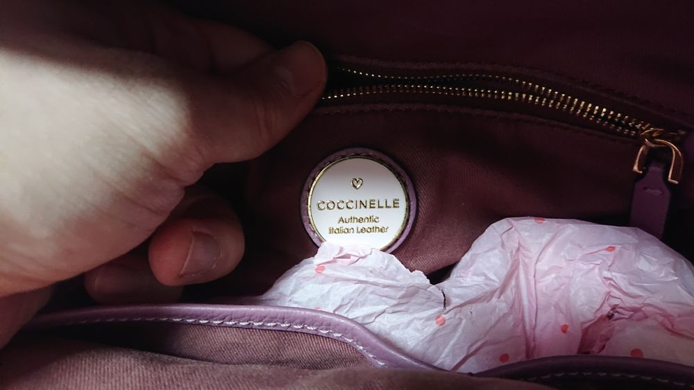 Rucsac Coccinelle din piele