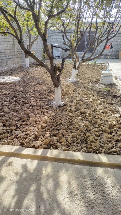 Uy sotiladi Zangiota Qahramon