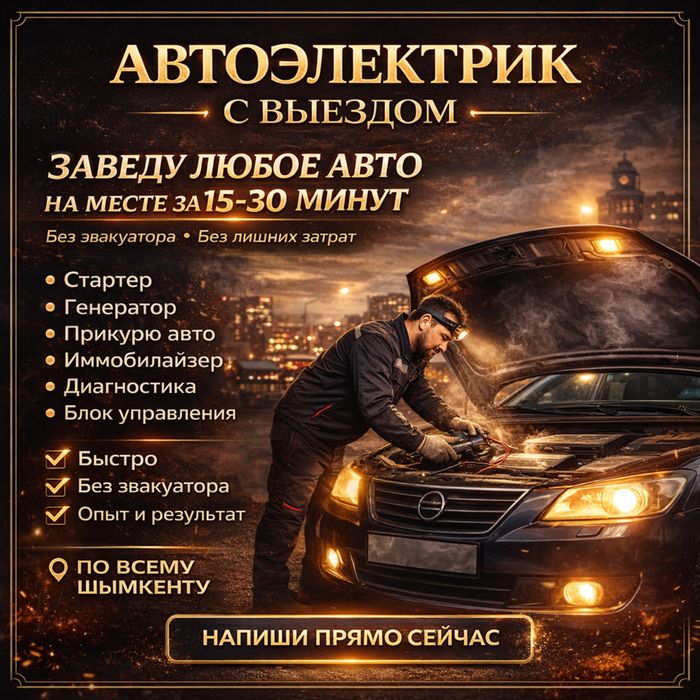 Автоэлектрик на выезд 12-24V