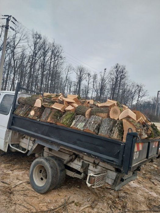 Vînd lemne de foc esență tare Stejar, carpen, fag
