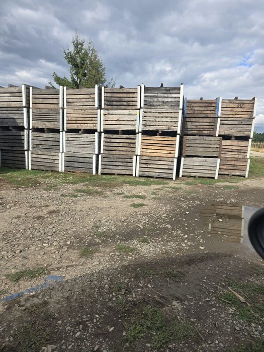 Vând boxpaleti lemn pentru fructe și legume. Dimensiuni 80/100/120 cm.