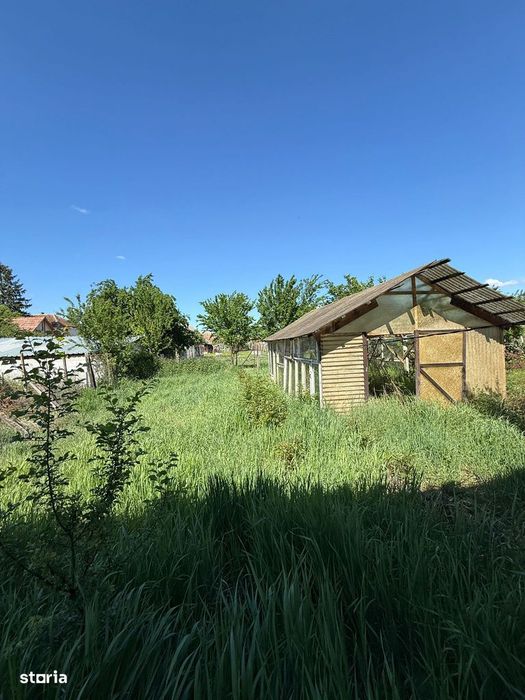 Casă + curte în centrul localității Şura Mică- direct de la proprietar