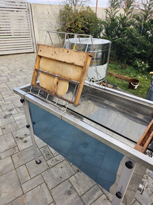 Vând familii de albine