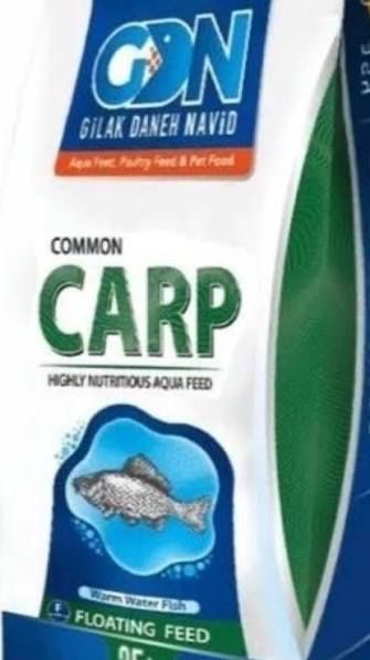 Common Carp, baliq yemlari. Tashkent