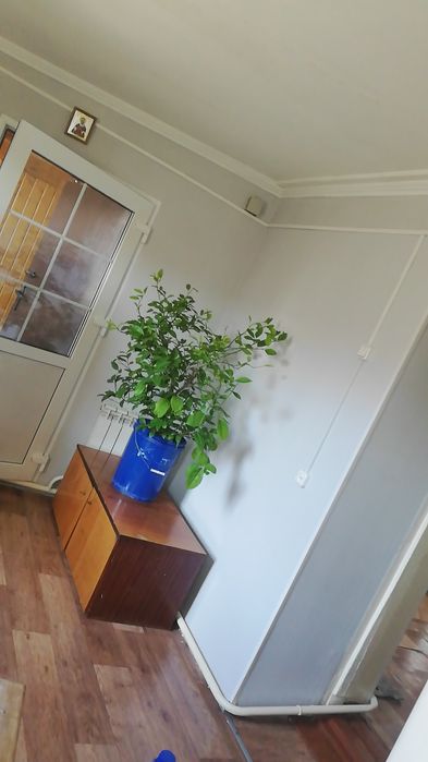 Продам дом с центральным отоплением.