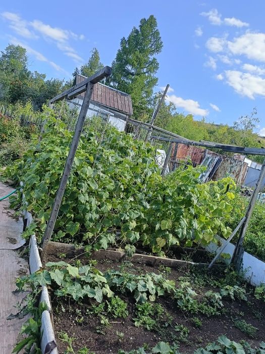 Продается дачный участок