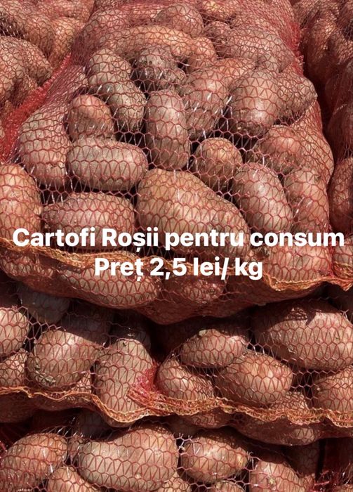 Cartofi consum si pentru animale