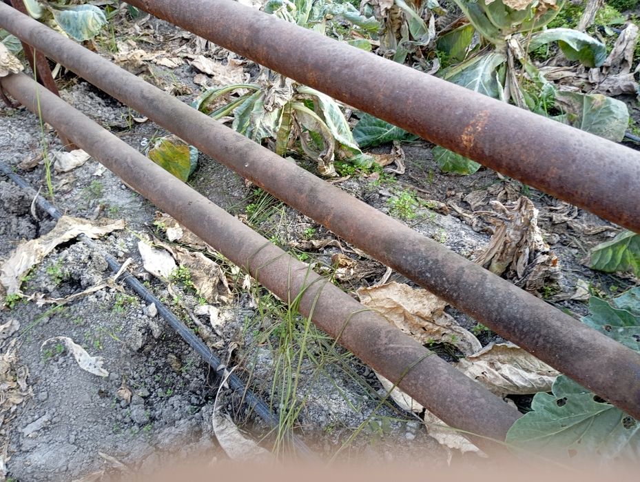 Teplitsa sotiladi rossiyskiy ugolnidan