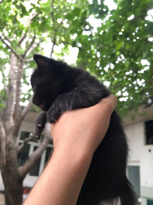 Yuqori sifatli milf porno