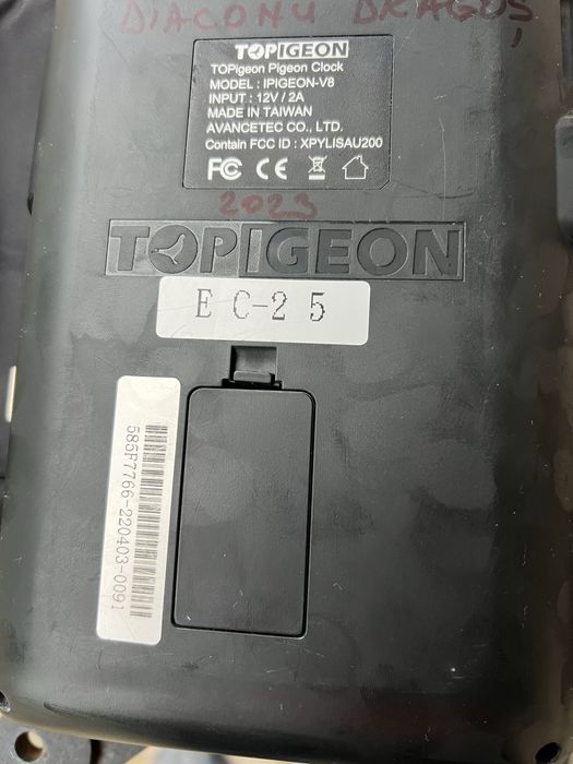 Topigeon V8 , 2023, trapa  mare