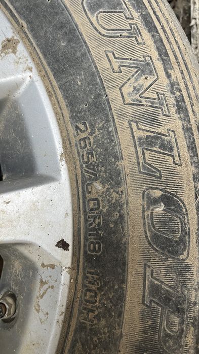 Прадога R18 титан