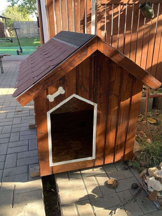 Cusca câine izolata