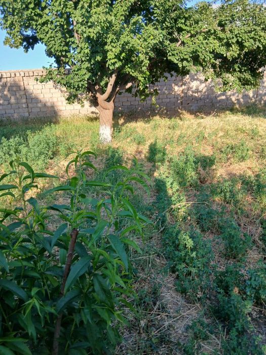 Бозсувдан 4, 6, 8, сотих ер сотилади!