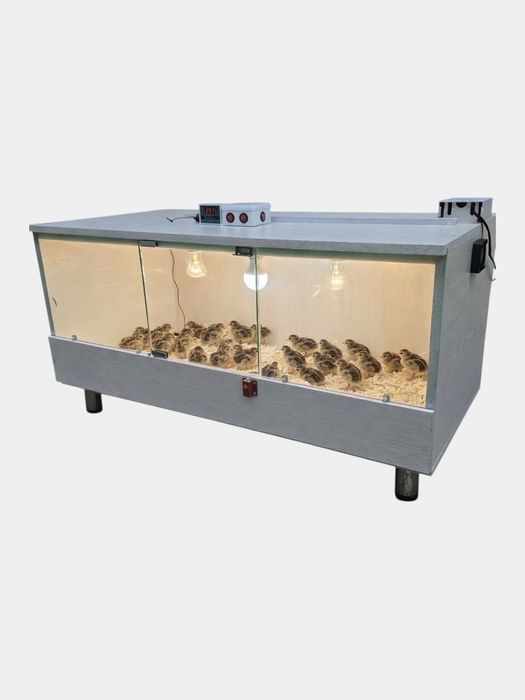 Bruder  Брудер zamonaviy