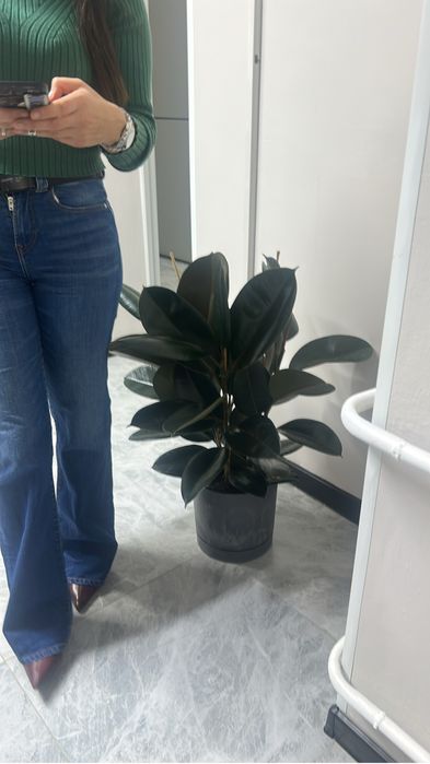 Уход за комнатами растениями