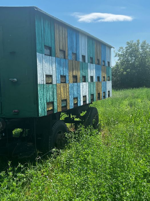 Vând Pavilion Apicol Funcțional – 48 Stupi × 18 Rame – Fără Albine