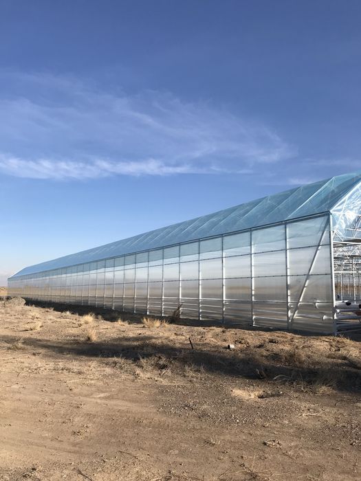 Строительство Тепличных комплексов