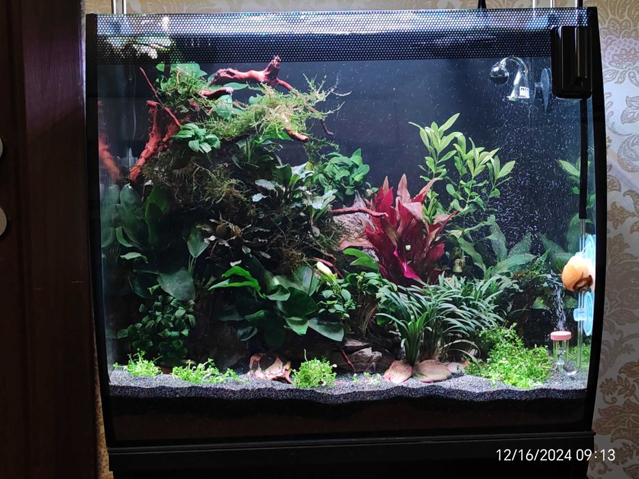 Acvariu Fluval Acvariu Flex 57 l