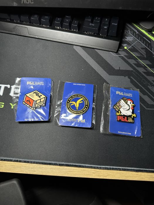 PIN PGL Cluj-Napoca 2025