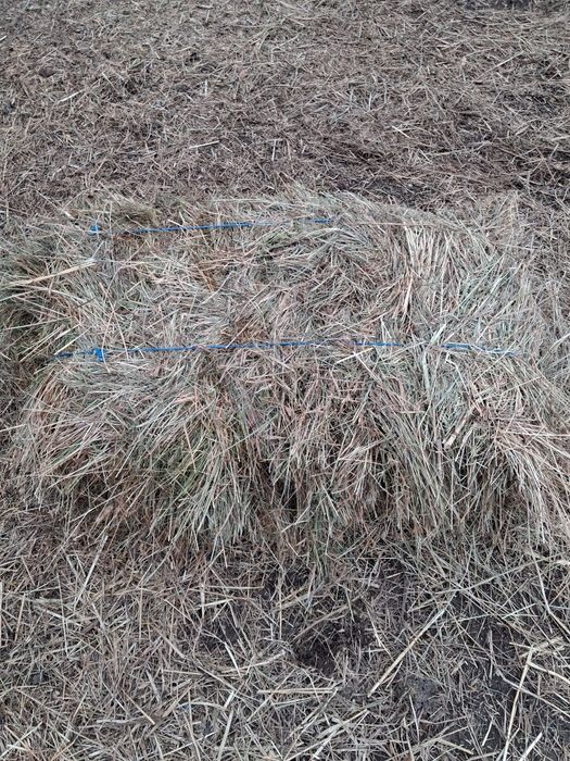 Vand baloti de fan si lucerna