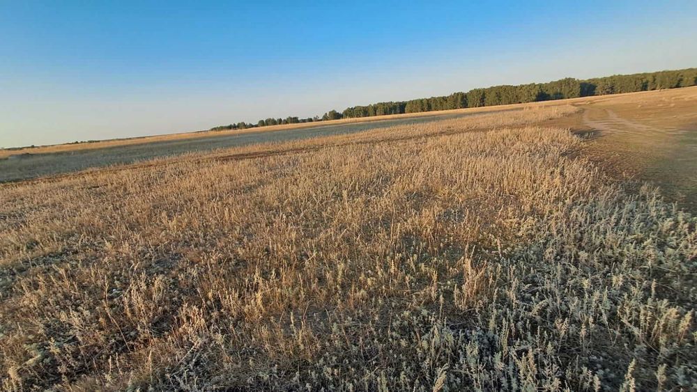 Участок в пригороде Костаная (Октябрьское) - Казахстанец