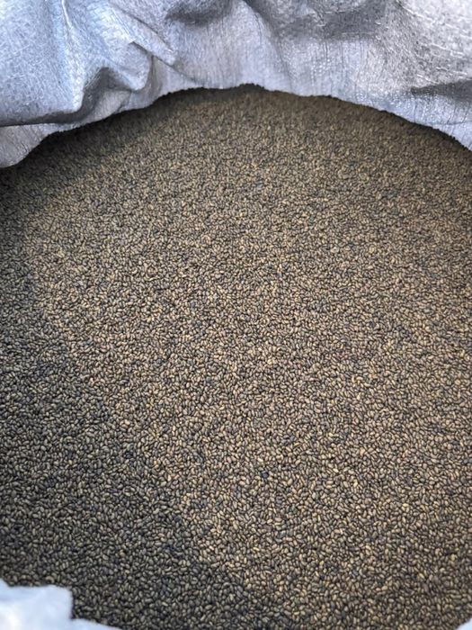 Семена люцерны высшего качество