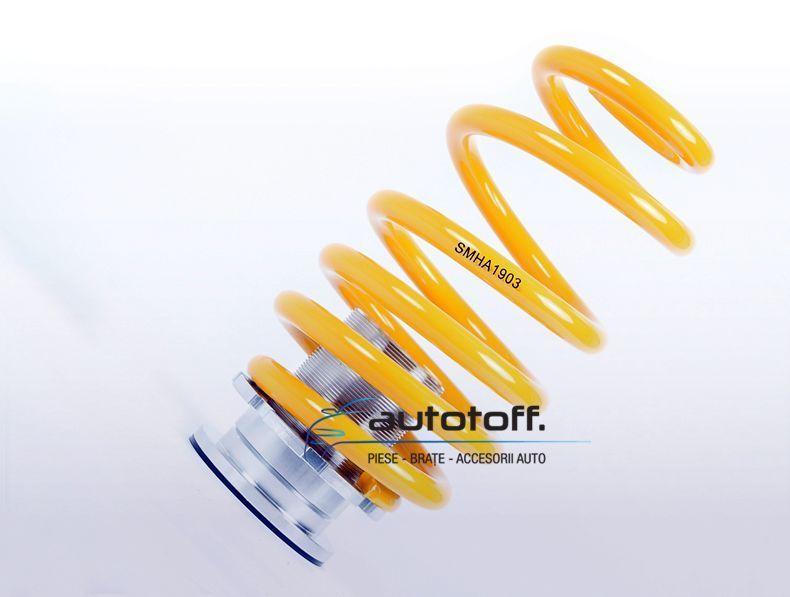 Suspensie sport reglabila Audi A4 B9 (2015+) FK Germania