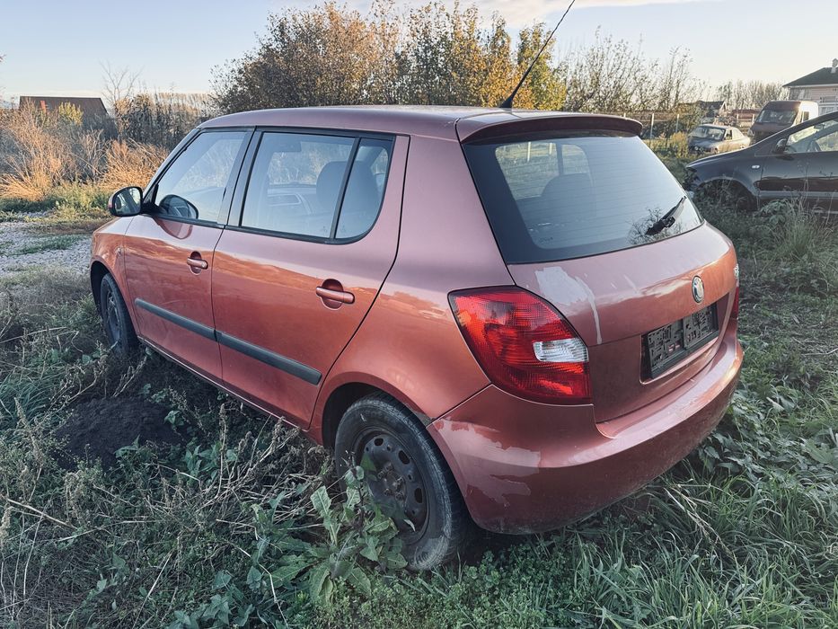 Skoda Fabia 2009 Probleme