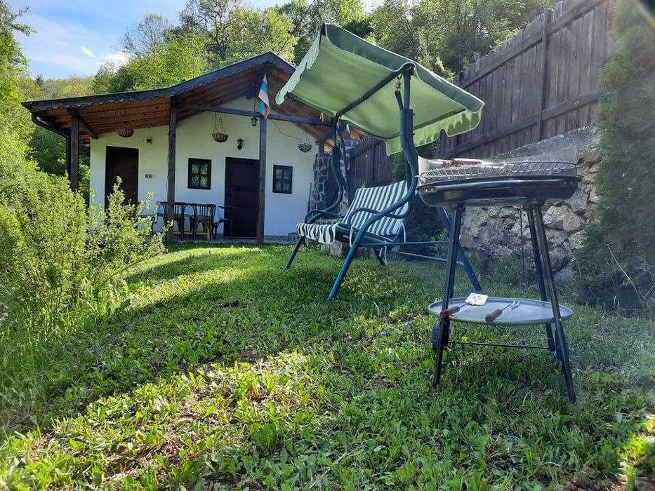 Къща под наем село Бусинци, Трън