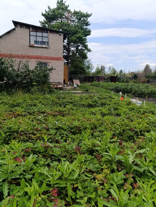 Продажа дачи в с/о. Ромашка