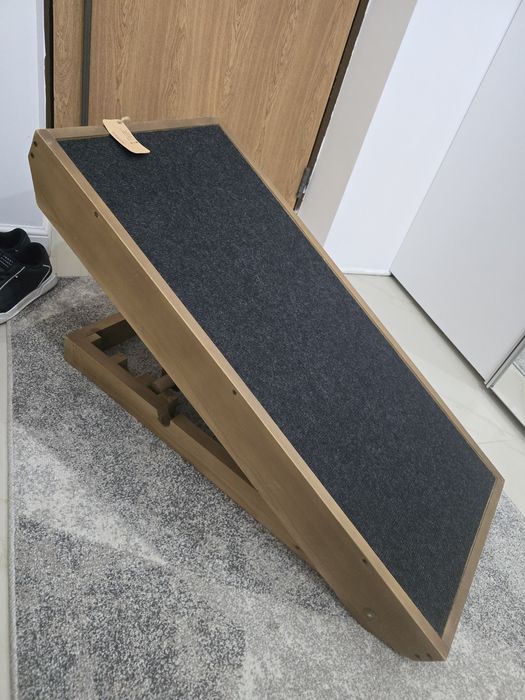 Rampa pentru caini si pisic