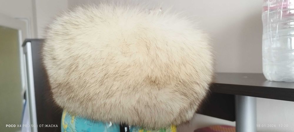 Шапка сребърна лисица