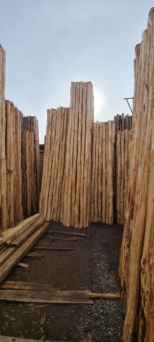 Terak mahsulotlari optim