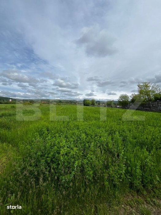 Teren extravilan 2.800 mp in Livezile