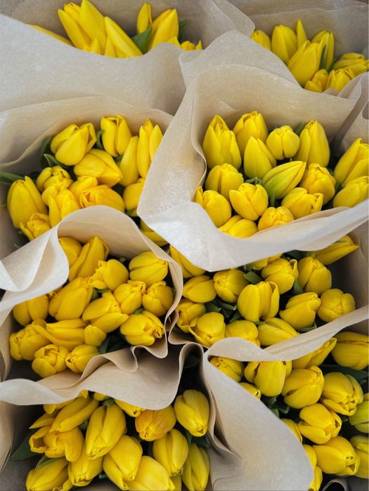 Тюльпаны предзаказ на 8 марта