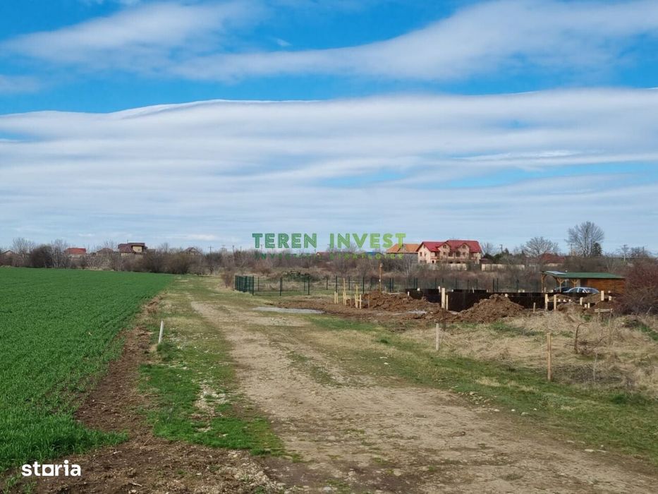Teren 10.000 mp de vânzare – Balotești – PUZ locuințe