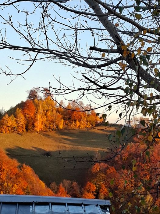 Cabana  de inchiriat  Libera de Craciun