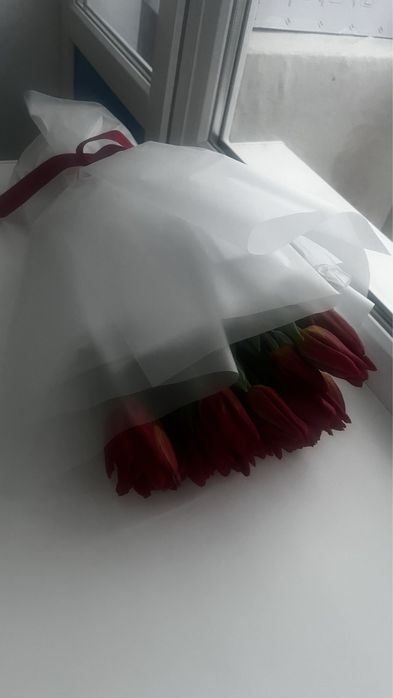 Цветы тюльпаны…..