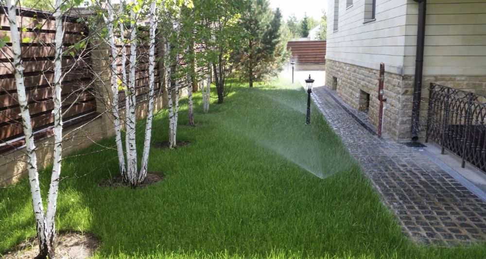 Газон Посевной и рулонновый