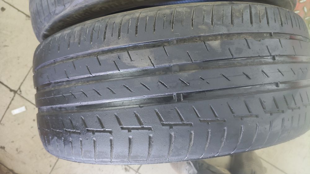 Шины континента ль лето
