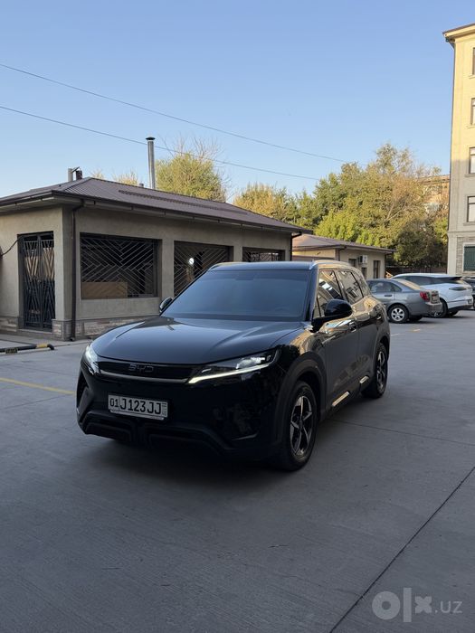 Byd yuan up 2025
