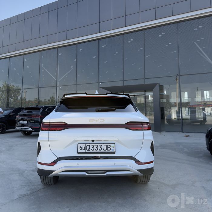 Byd champion restyling