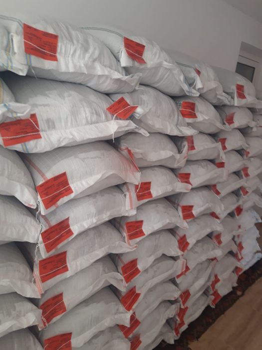Sămânță Lucerna Certificata, Sorg, Sudan, Mazariche, Trifoi, Sparceta, Porumb, Floarea Soarelui