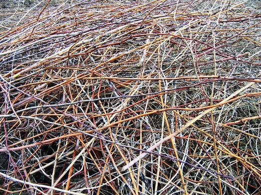 Ветки от деревьев