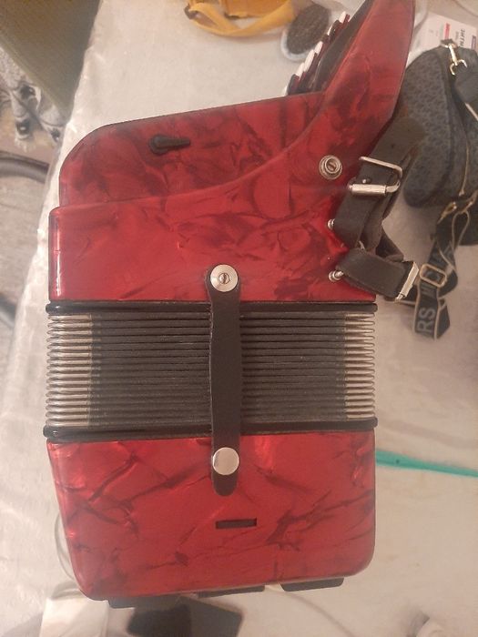 Royal standard баян.