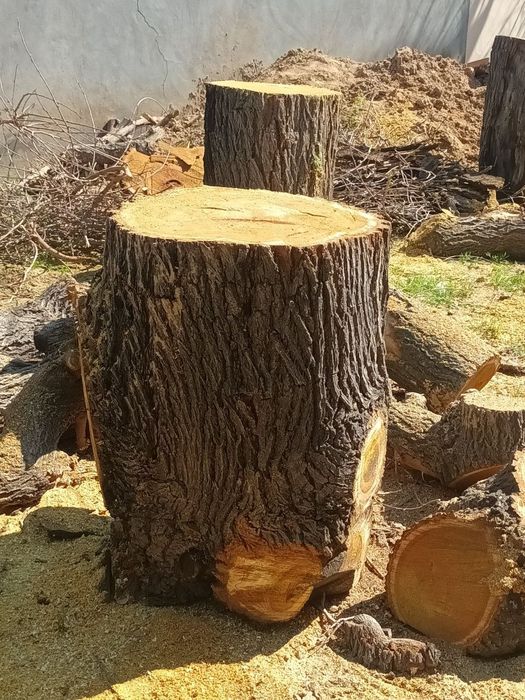 Goʻsht toʻnka sotiladi. Sifatli maxsulot kam qoldi ulgurib qoling