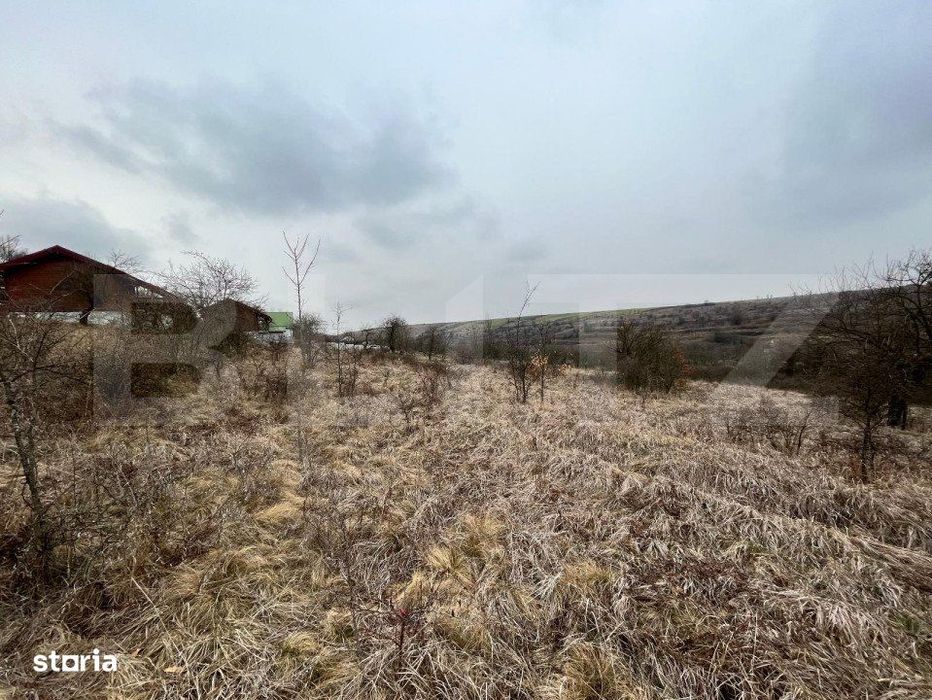 REDUCERE!!! Teren extravilan 5.613 mp, livada, zona Predesti