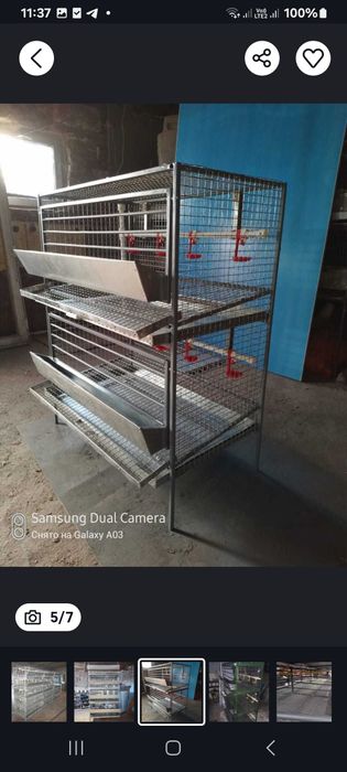 Клетка  для несушек   и перепелок.